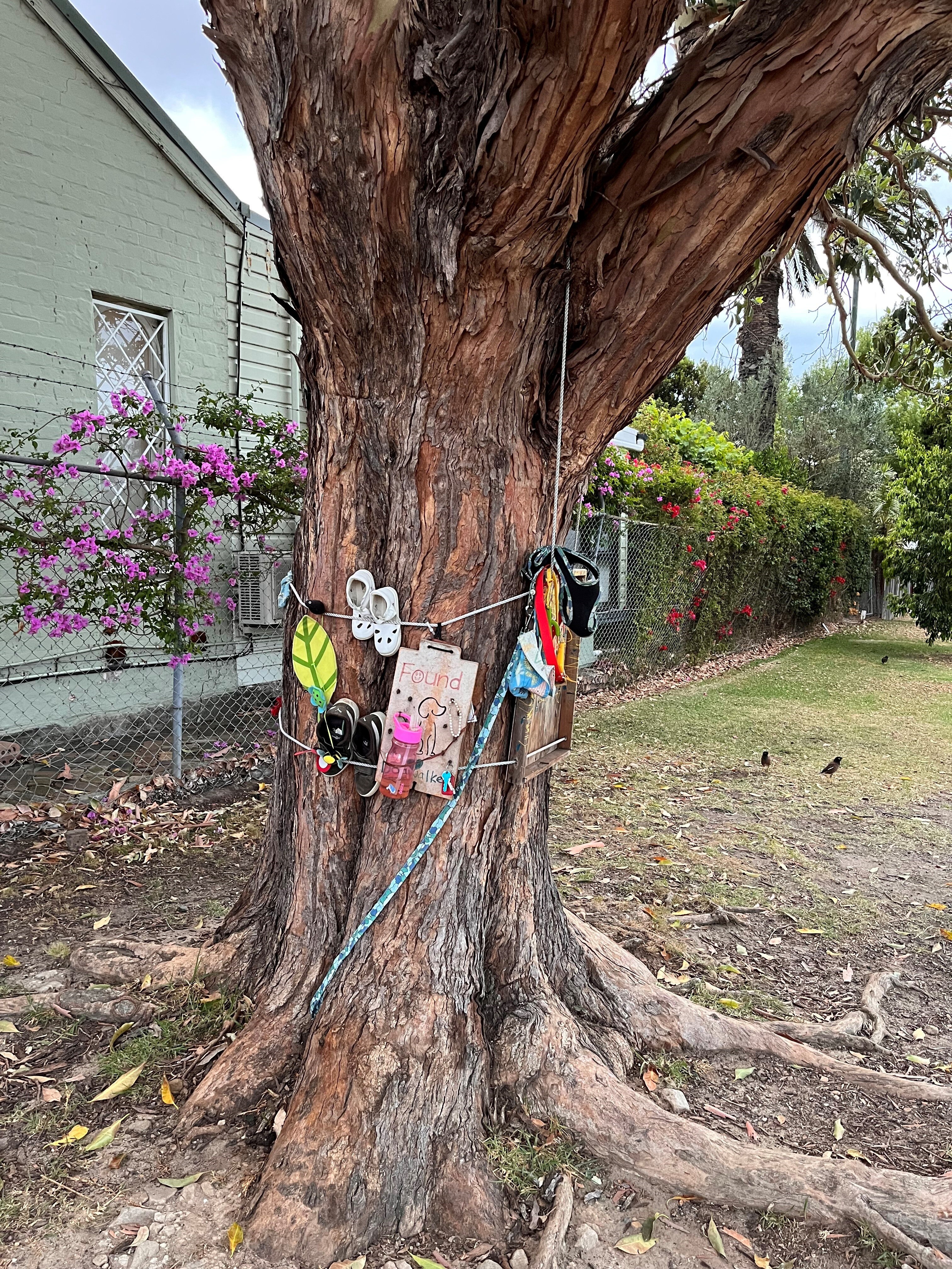 A tree with a variety of items strapped to its trunk, in cluding shoes, baby bottles an d small toys
