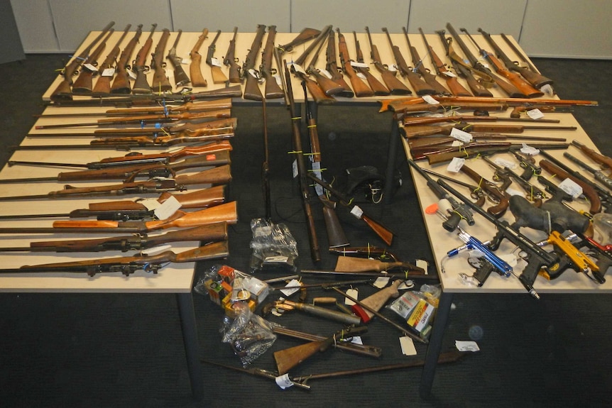 Police say firearms stolen from regional areas of NSW are becoming a concern.