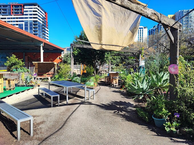 Community gardens thrive & garden clubs fade in SA post-pandemic peak ...