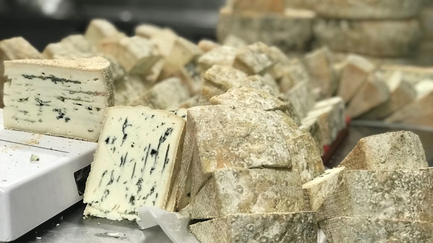 Wedges of blue cheese piled on a metal counter.