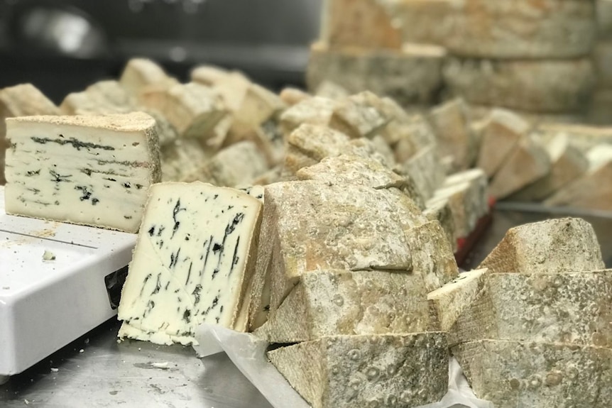 Wedges of blue cheese piled on a metal counter.