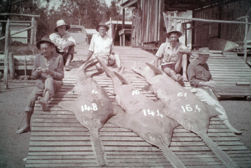 black and white photo of five men sitting on a boat ramp with three huge dead saw fish