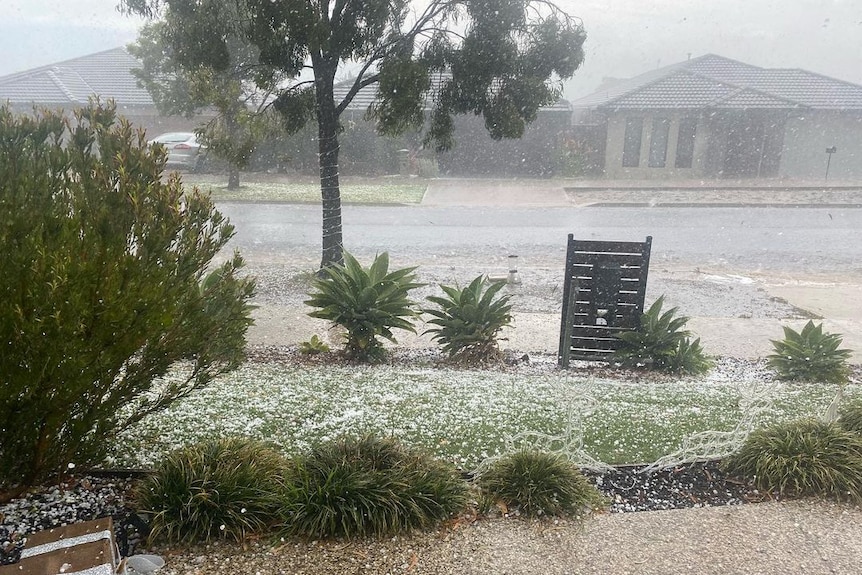 Hailstorm in Geelong on Dec 1st, 2021 @cherielovesranner