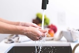 A person is washing their soapy hands under the tap in the kitchen