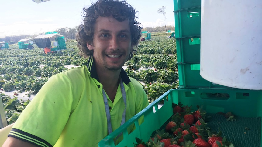 Kyle Sommerville smiling as he poses in his strawberry cart.