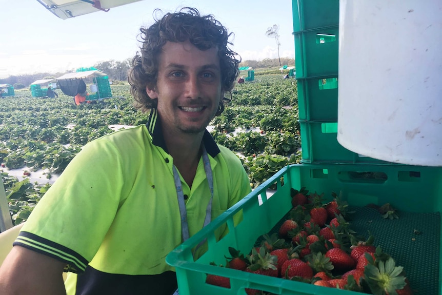 Kyle Sommerville smiling as he poses in his strawberry cart.