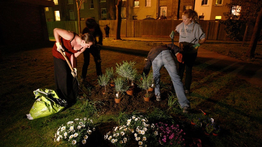 'Guerrilla gardeners' plant flowers on a spot of urban wasteland in south London
