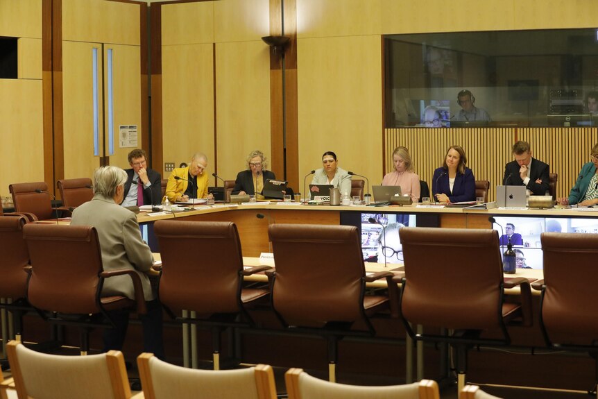 Pat Anderson gives evidence at a parliamentary committee hearing