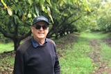 Kevin Debreceny stands in a black jumper, tinted glasses and hat, with a row of green avocado trees behind him