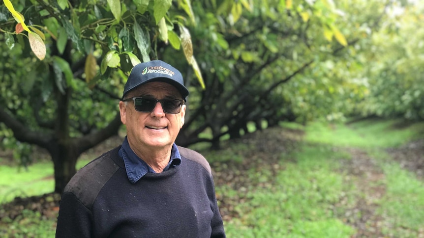 Kevin Debreceny stands in a black jumper, tinted glasses and hat, with a row of green avocado trees behind him