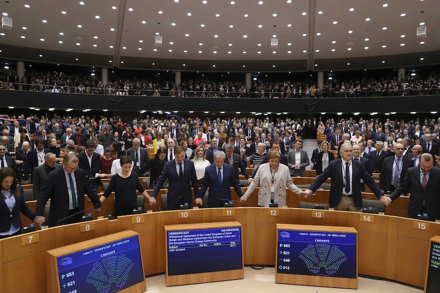 MEP's sing and hold hands after a vote on the UK's withdrawal from the EU.