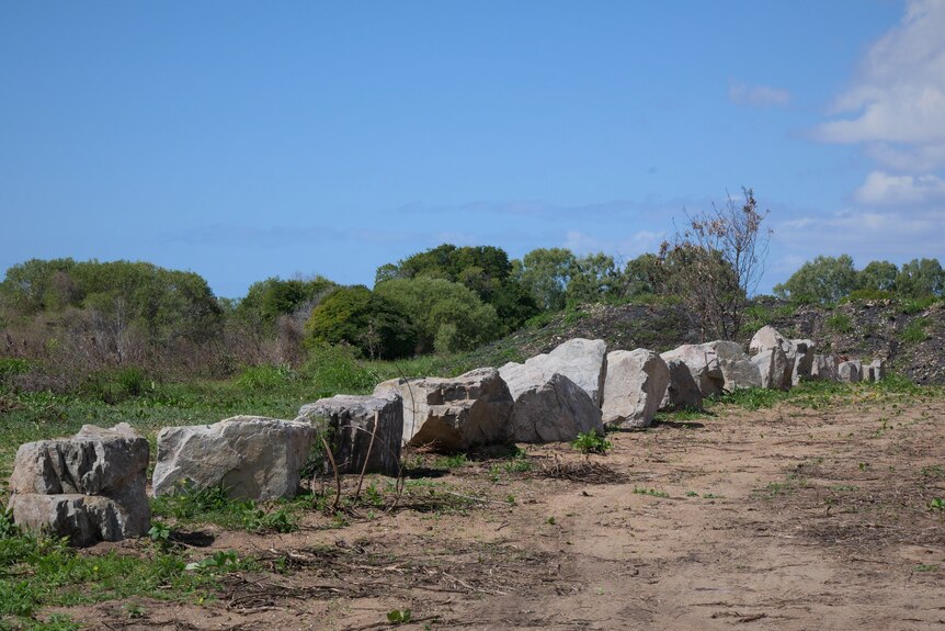 About a dozen basalt boulders placed side by side in bushland.