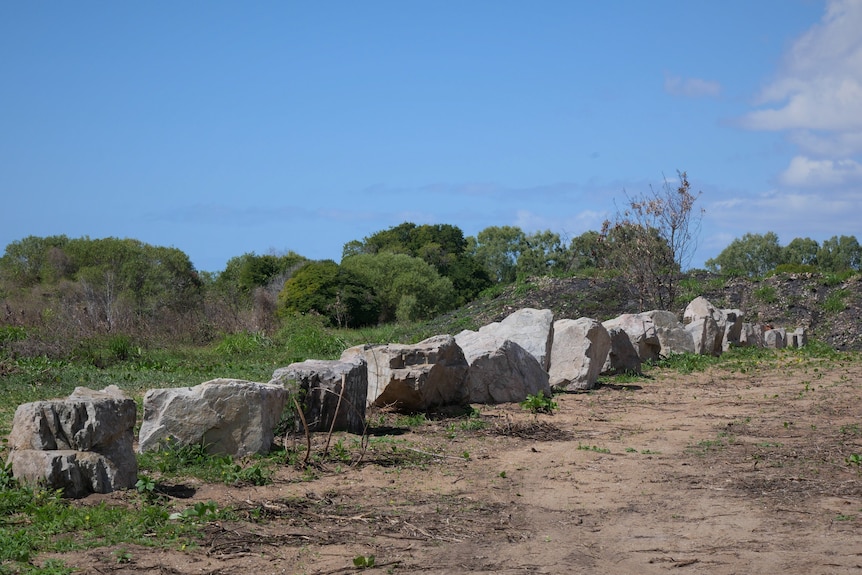 About a dozen basalt boulders placed side by side in bushland.