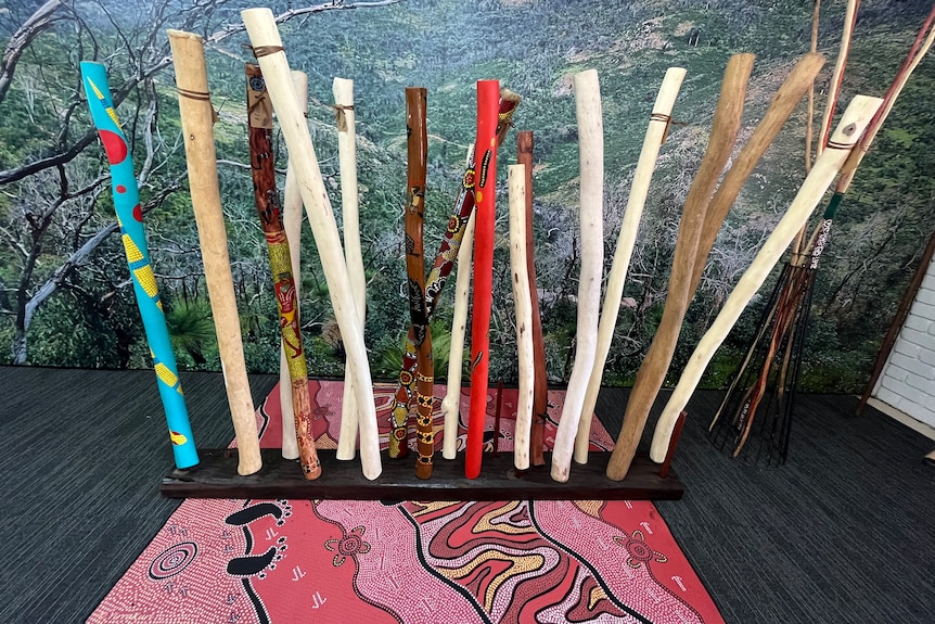 A range of different coloured sticks and didgeridoos on a rack