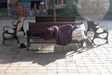 A person sleeps curled up on a bench in a mall outside shops.