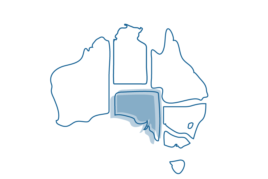 An illustration of a map of Australia that shows South Australia highlighted.