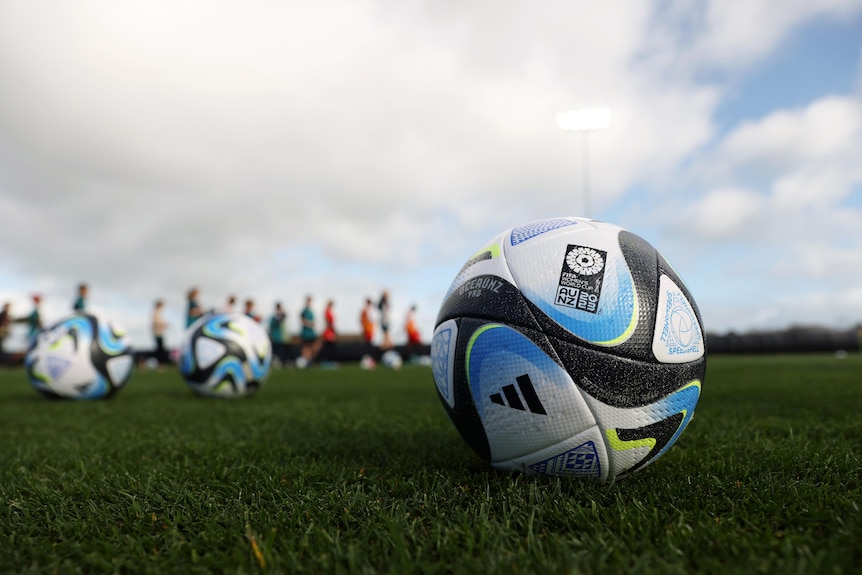 A detailed view of the official Women's World Cup match ball.