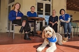 A group photo of the peer supporters sitting around a table and smiling, with therapy dog Frankie on the ground in front