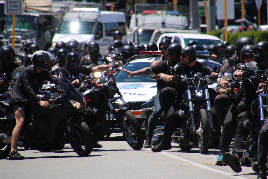 Men on bikes gesture at each other on the road in front of police cars.