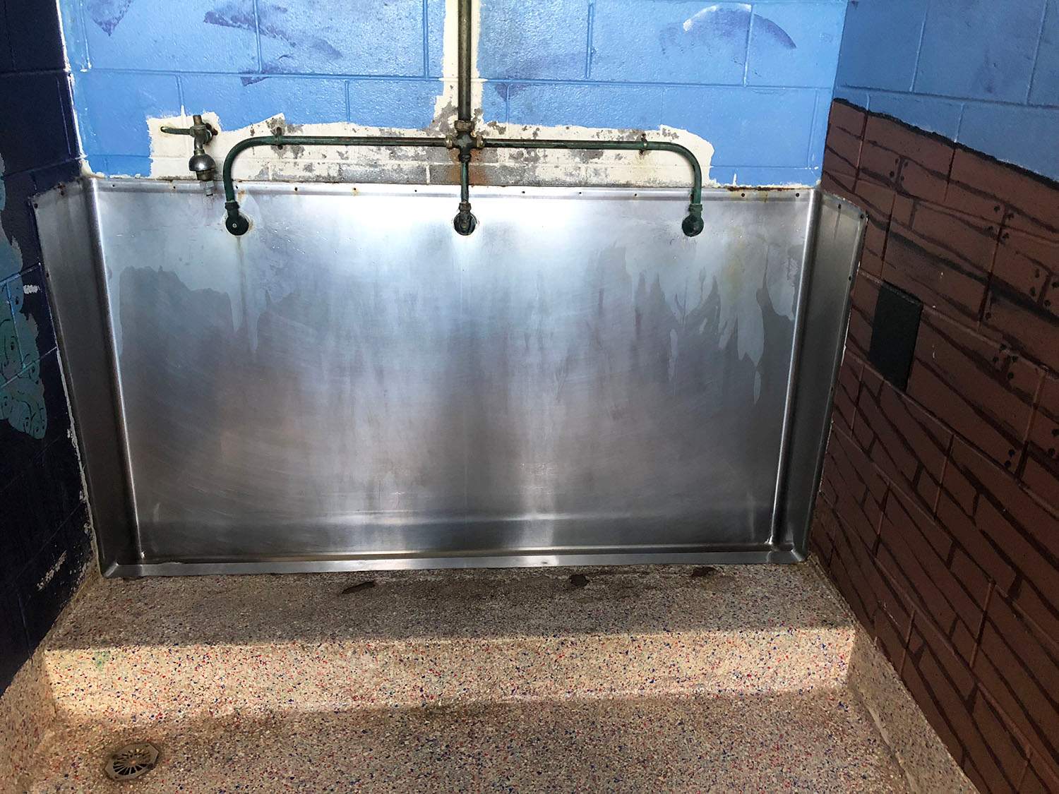 'Disgusting' primary school toilets so bad children 'hold on' all day