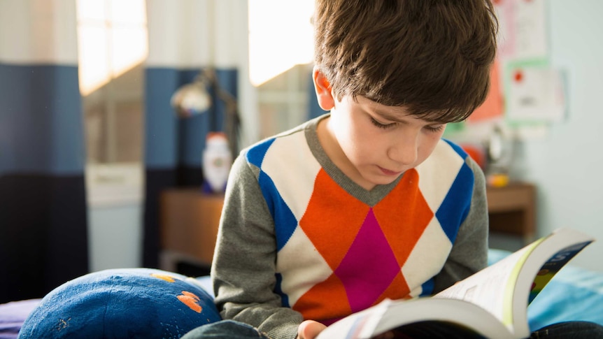 A boy with a book in hand