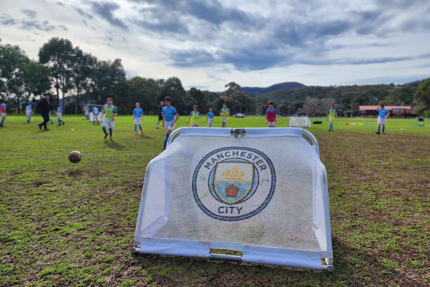 A portable soccer goal on a pitch.