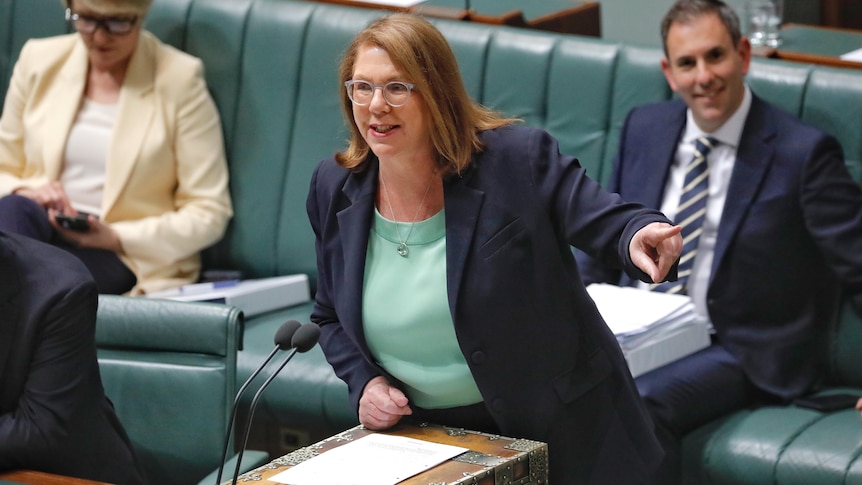 A woman speaking at the despatch box in the house of representatives with other people sitting on the bench behind her.