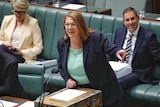 A woman speaking at the despatch box in the house of representatives with other people sitting on the bench behind her.