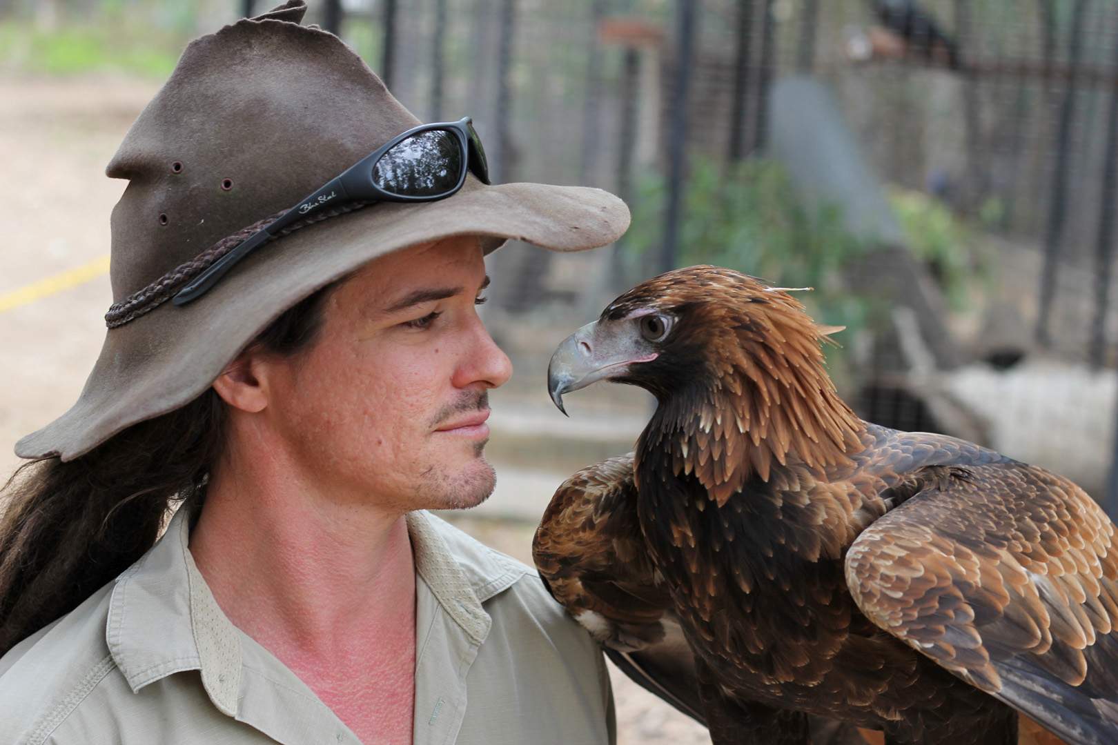 Australian Army assists Queensland wildlife sanctuary with eagle ...