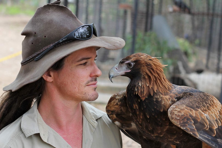 A park ranger holds a wedge tailed eagle on his gloved hand