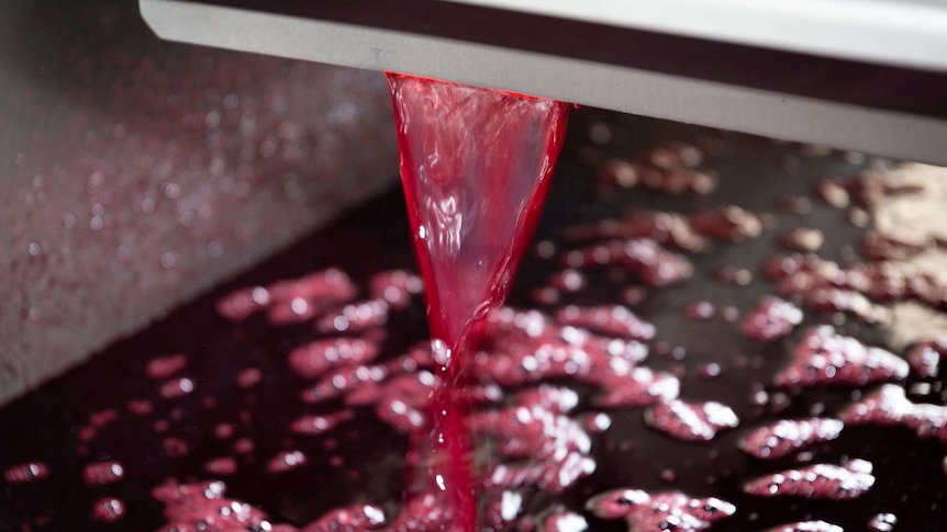 Cherry juice flowing into a vat