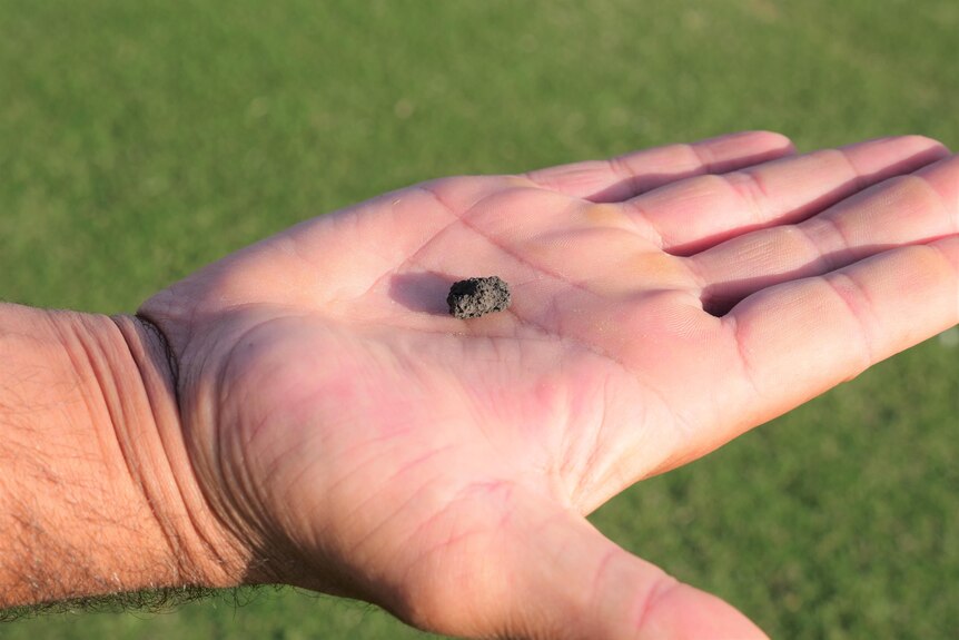 A pellet of soil sits in the palm of a hand.