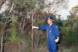 A police officer in blue overalls holds a measuring stick in bushland.