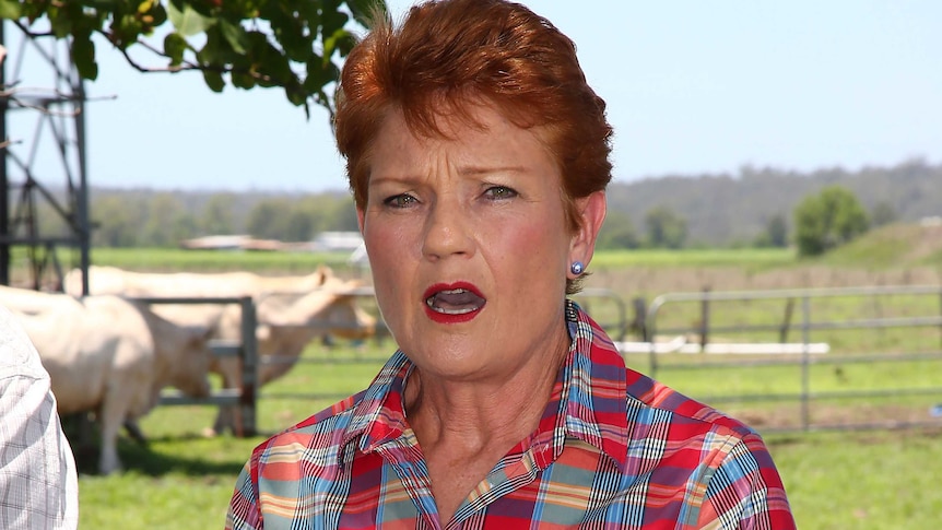 Pauline Hanson announces she will run in the Queensland seat of Lockyer