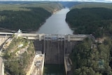 Tillegra Dam report calls for other options