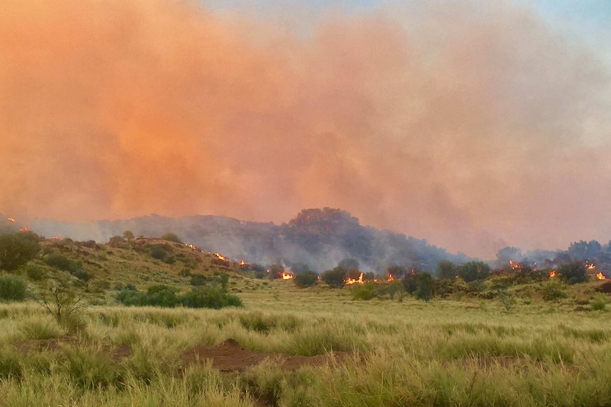 Grassland burns in an outback bushfire.