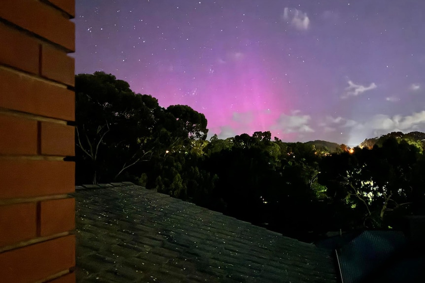 Pink and purple glows in the sky during an aurora australis in Adelaide.