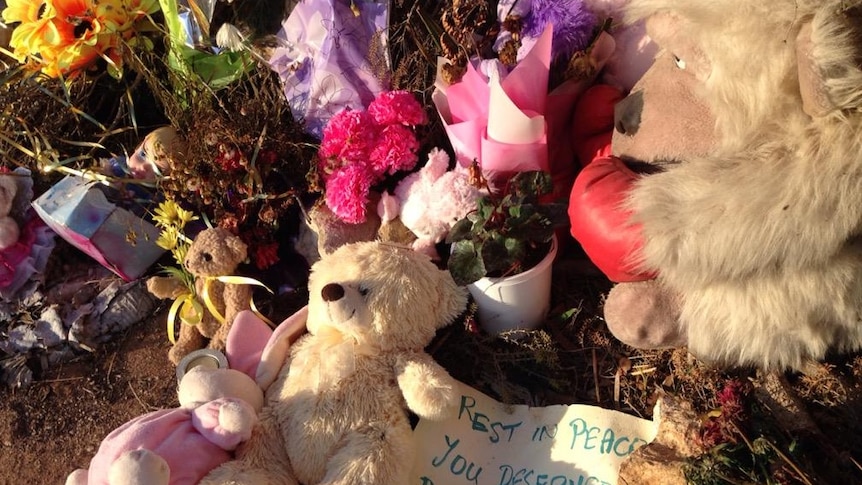 Memorial grows at the site where a child's bones were found near Wynarka SA