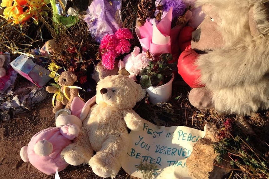 Memorial grows at the site where a child's bones were found near Wynarka SA