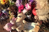 Memorial grows at the site where a child's bones were found near Wynarka SA
