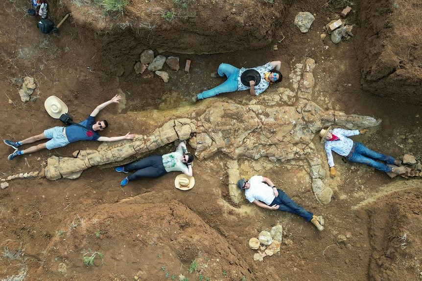 Five people lay on the ground next to a large plesiosaur fossil