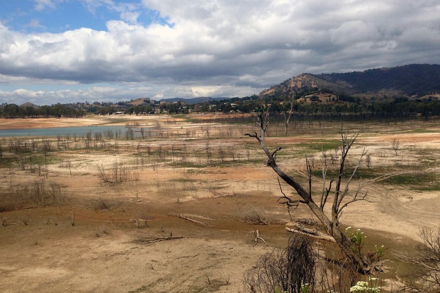 A dry lake in Victoria with dead trees sticking up.