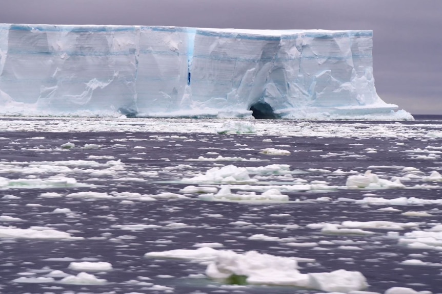 Ледяная стена в австралии фото из космоса Ледяная стена в австралии фото из космоса