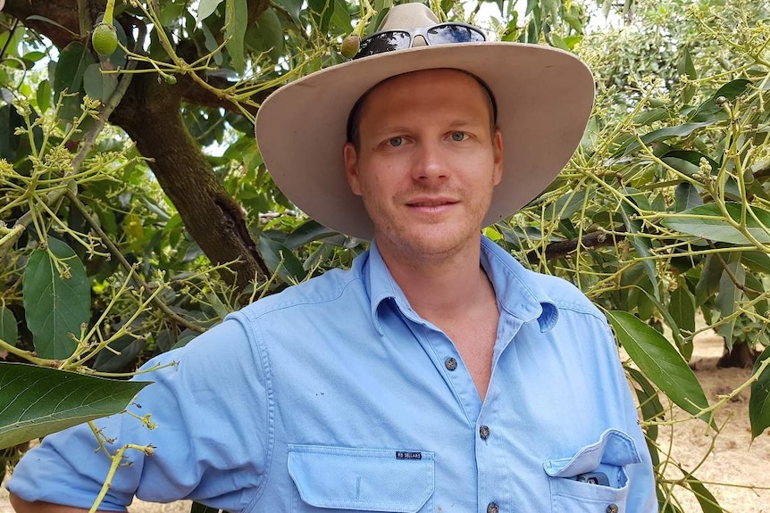 Matthew Fealy standing in front of a fruit tree