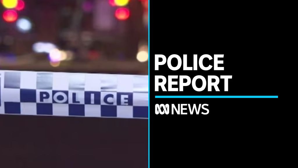 US gun debate - ABC News