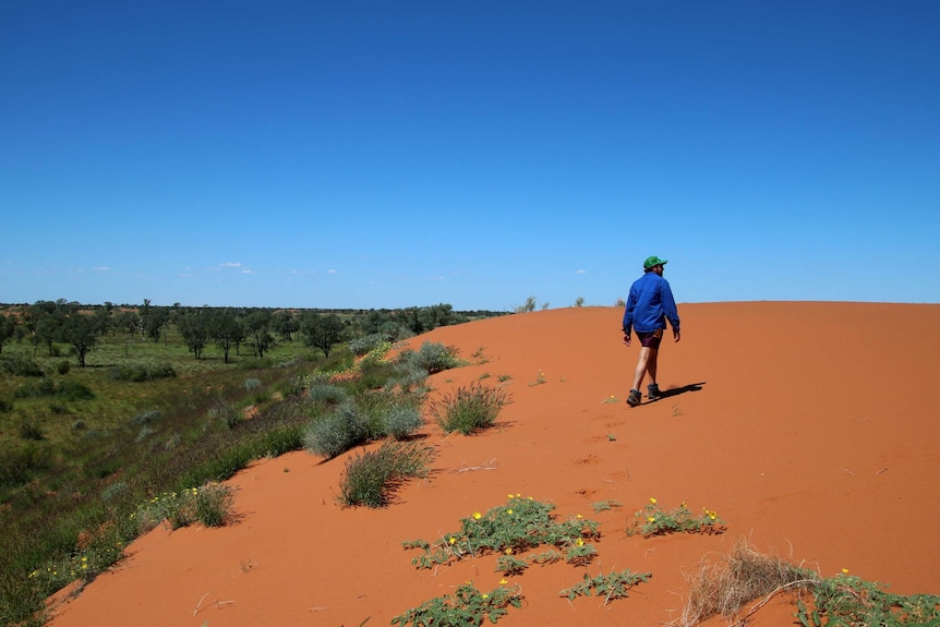 Jamie Black walks up a red sand dune