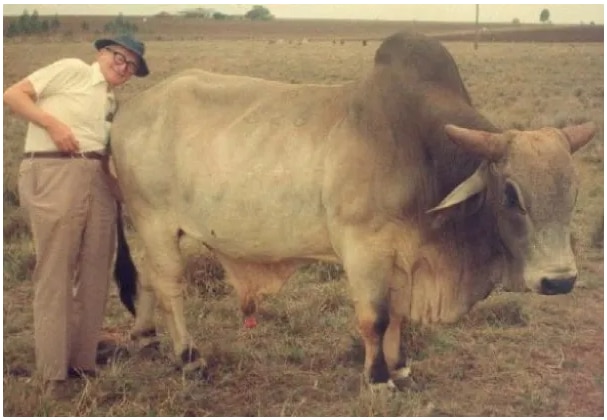 Hayek Inspires Australian Free-Market Influence Network