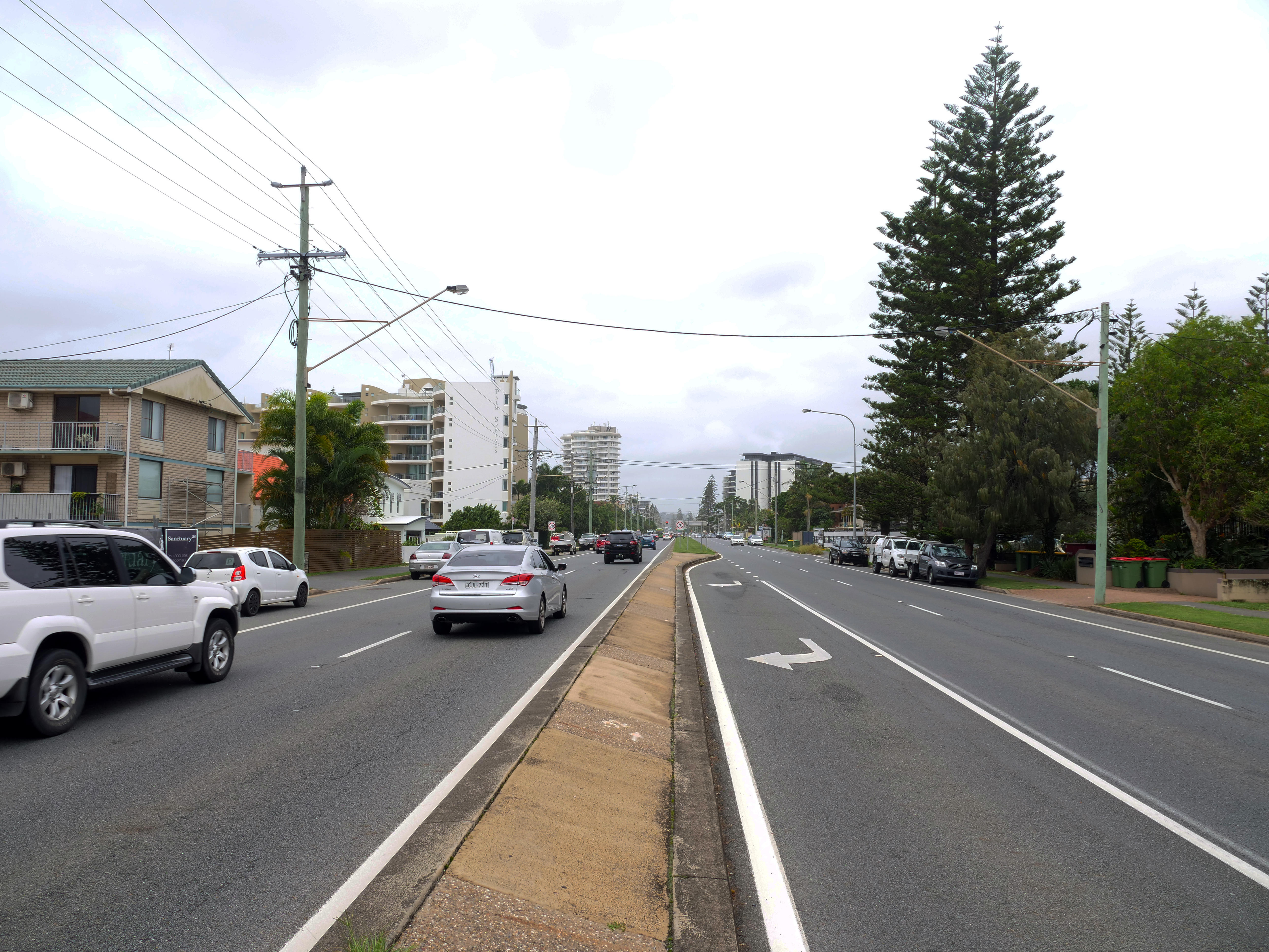 Four lanes of road with a traffic island in the middle, and a Norfolk pine visible on the right-hand side of the road