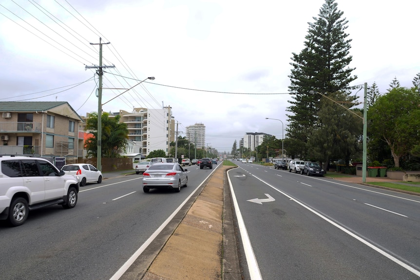 Four lanes of road with a traffic island in the middle, and a Norfolk pine visible on the right-hand side of the road