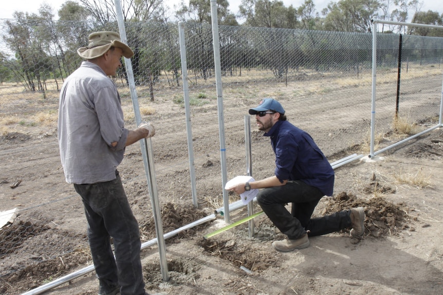 Cattle producer Hugo Spooner and environmental scientist Andrew Elphinstone